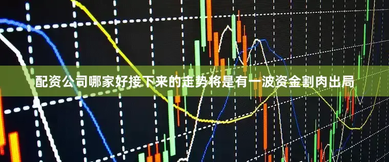 配资公司哪家好接下来的走势将是有一波资金割肉出局