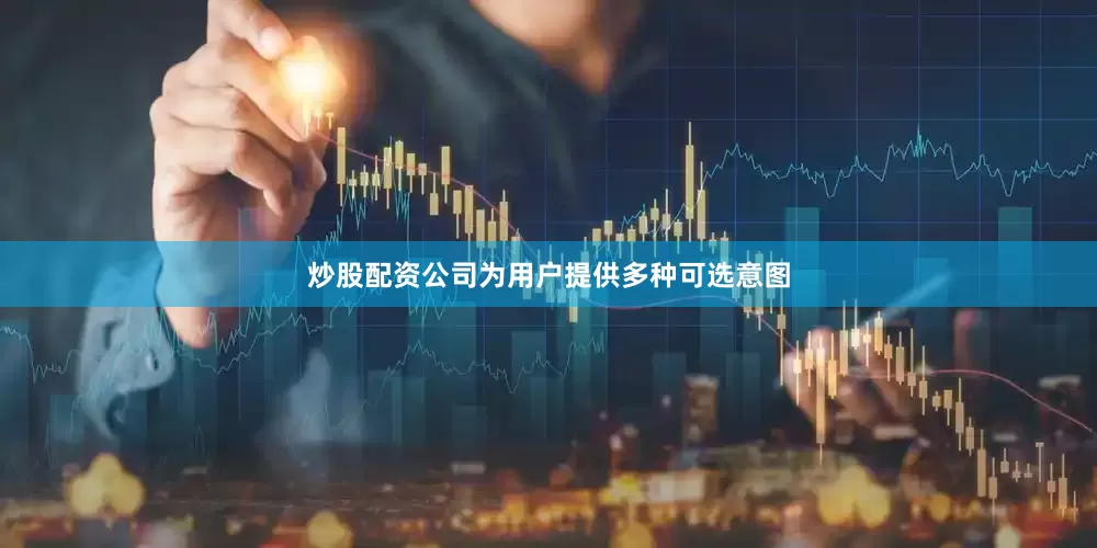 炒股配资公司为用户提供多种可选意图