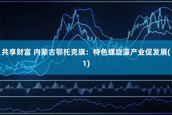 共享财富 内蒙古鄂托克旗：特色螺旋藻产业促发展(1)