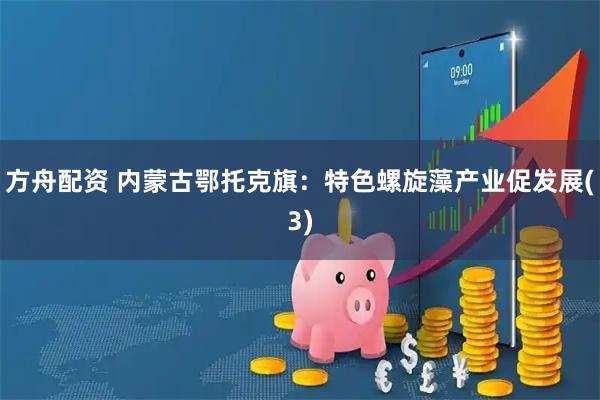 方舟配资 内蒙古鄂托克旗：特色螺旋藻产业促发展(3)