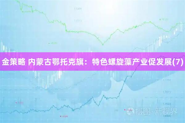 金策略 内蒙古鄂托克旗：特色螺旋藻产业促发展(7)