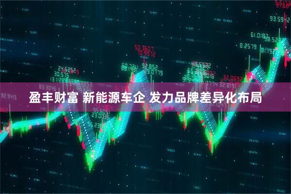 盈丰财富 新能源车企 发力品牌差异化布局