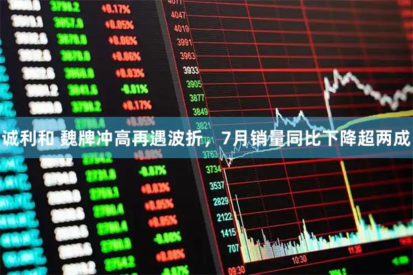 诚利和 魏牌冲高再遇波折，7月销量同比下降超两成